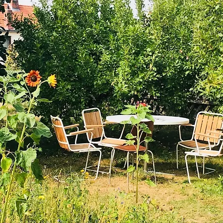 Casa Marcu 1 Og Daire